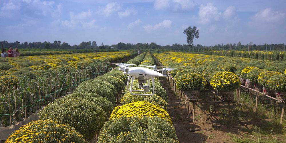 nobile-aviation-academy-sapr-2